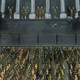 Illustration for article titled Is Captain America Currently a Nazi? The Answer Is... Complicated